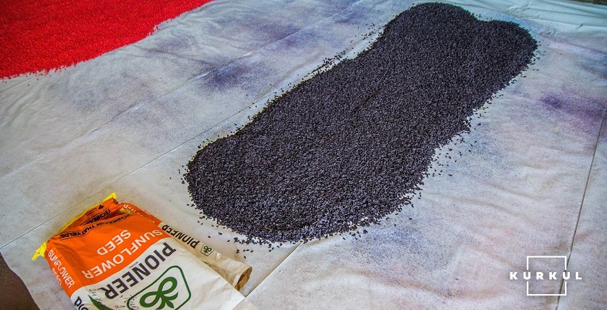 У ФГ «Журавушка-2006» планують культивувати соняшник, якщо вдасться замовити насіння